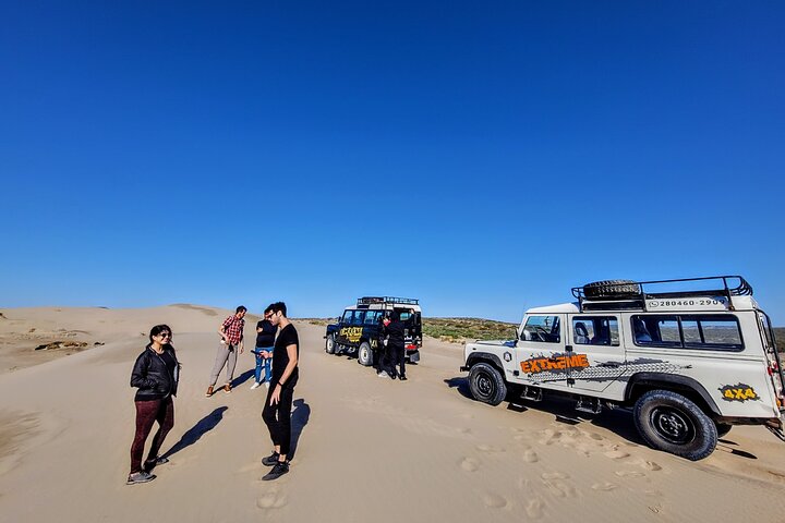 3 hour 4x4 tour around Puerto Madryn