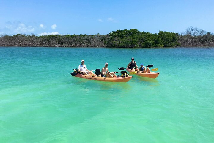 Mangroves and Manatees - Guided Kayak Eco Tour