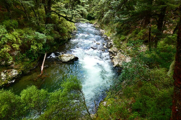 Shore Excursion: Scenic Rafting from Napier