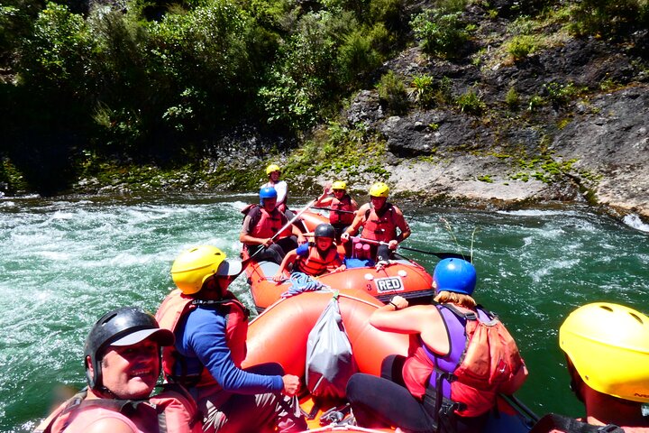 Shore Excursion: Scenic Rafting from Napier