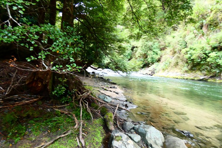 Shore Excursion: Scenic Rafting from Napier