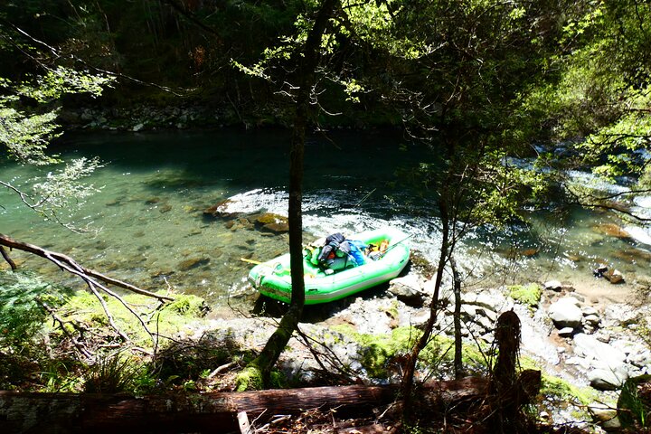 Shore Excursion: Scenic Rafting from Napier