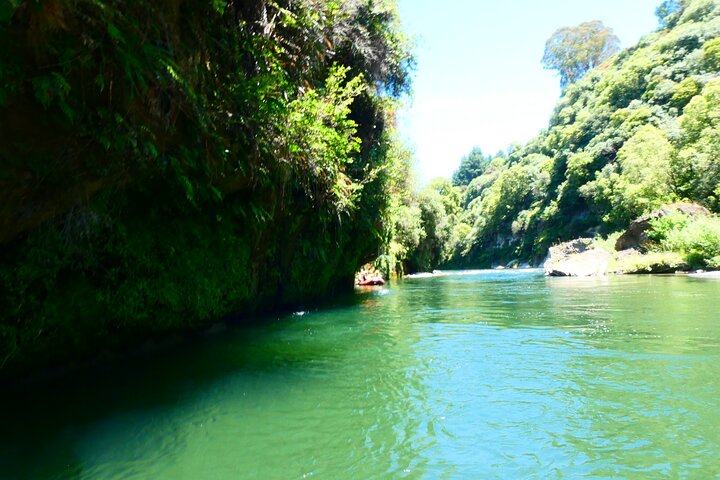 Shore Excursion: Scenic Rafting from Napier