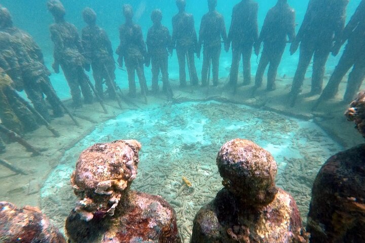 4-hour snorkel cruise to Underwater Sculptures with boat dogs
