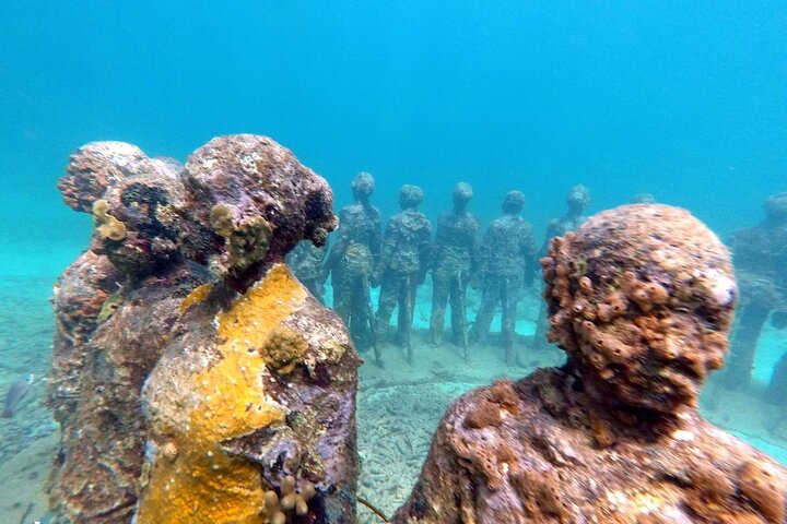 4-hour snorkel cruise to Underwater Sculptures with boat dogs
