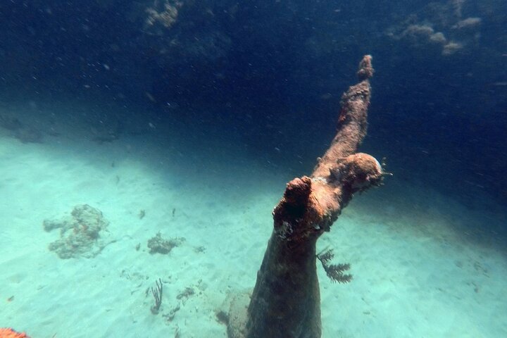 4-hour snorkel cruise to Underwater Sculptures with boat dogs