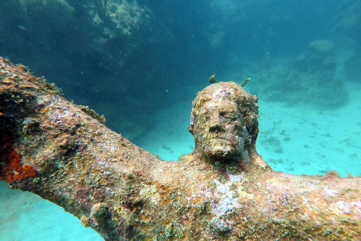 4-hour snorkel cruise to Underwater Sculptures with boat dogs