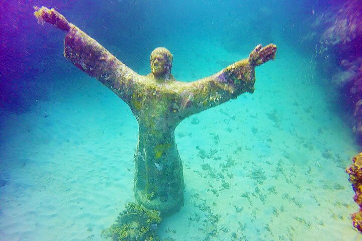 4-hour snorkel cruise to Underwater Sculptures with boat dogs