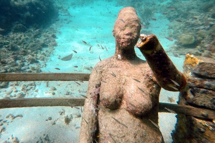 4-hour snorkel cruise to Underwater Sculptures with boat dogs