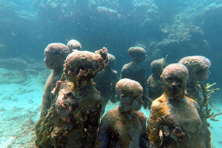 4-hour snorkel cruise to Underwater Sculptures with boat dogs