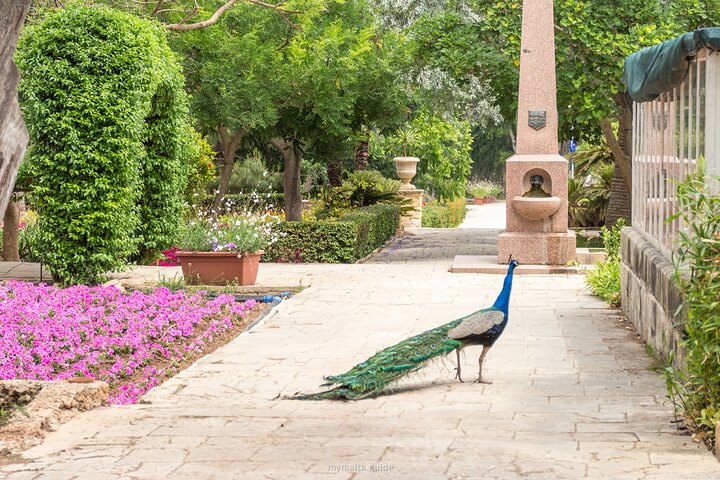 Mdina and Highlights of Malta Full Day Guided Tour Incl. Lunch and Transfers