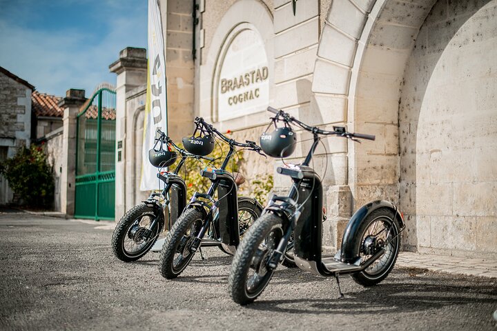 1 hour walk - The Gabarres river route