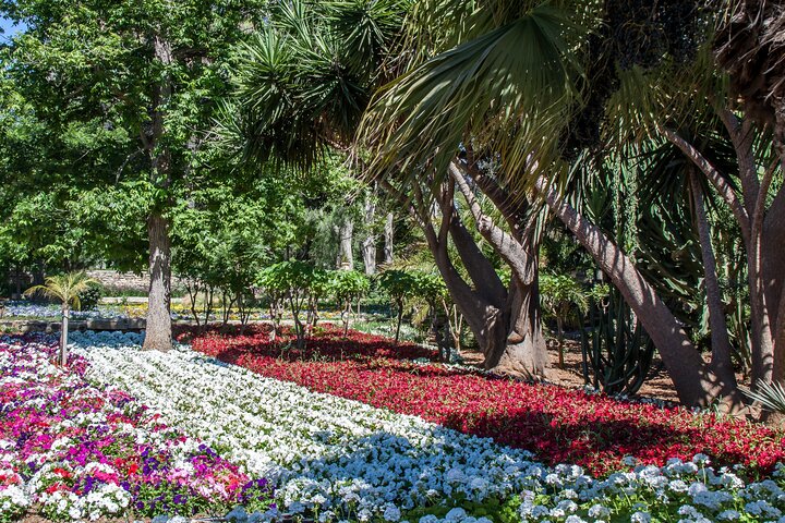 Mdina, Dingli Cliffs and San Anton Gardens Half-Day Guided Tour