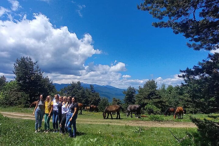 Half-Day Jeep Safari Adventure in Velingrad