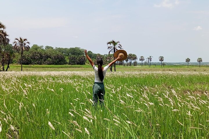Kissama National Park Safari
