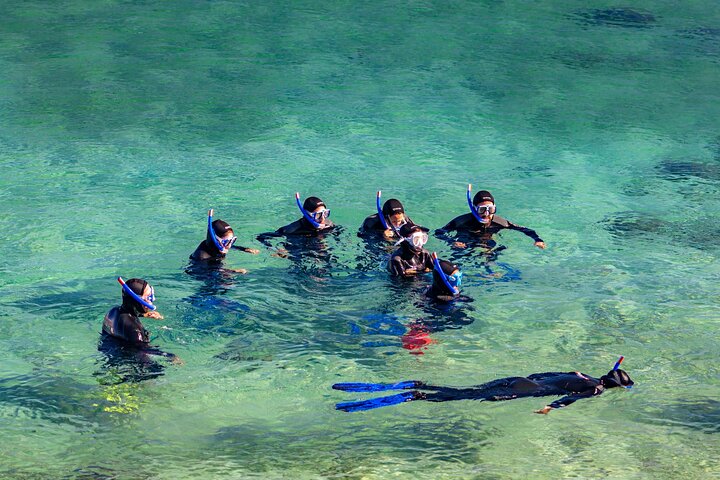 Guided snorkeling route in the Strait Natural Park