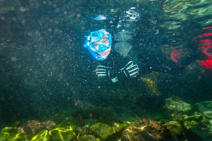 Guided snorkeling route in the Strait Natural Park