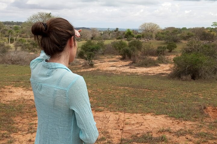 Kissama National Park Safari