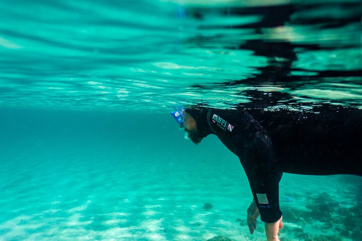 Guided snorkeling route in the Strait Natural Park