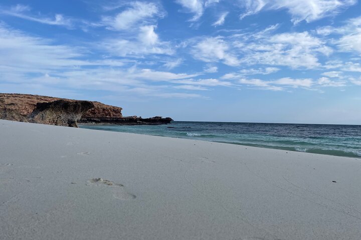 Snorkeling at Dimaniyat Islands and Dolphin Watching (Half-Day)