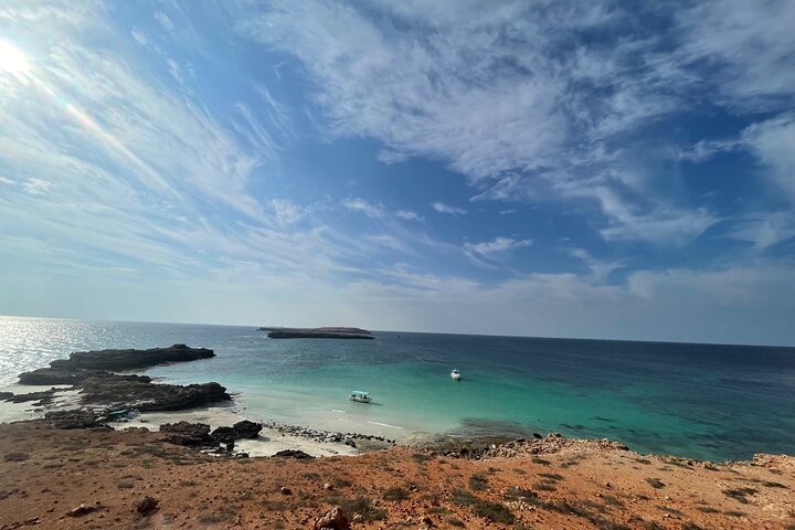 Snorkeling at Dimaniyat Islands and Dolphin Watching (Half-Day)