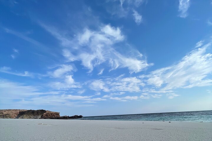 Snorkeling at Dimaniyat Islands and Dolphin Watching (Half-Day)