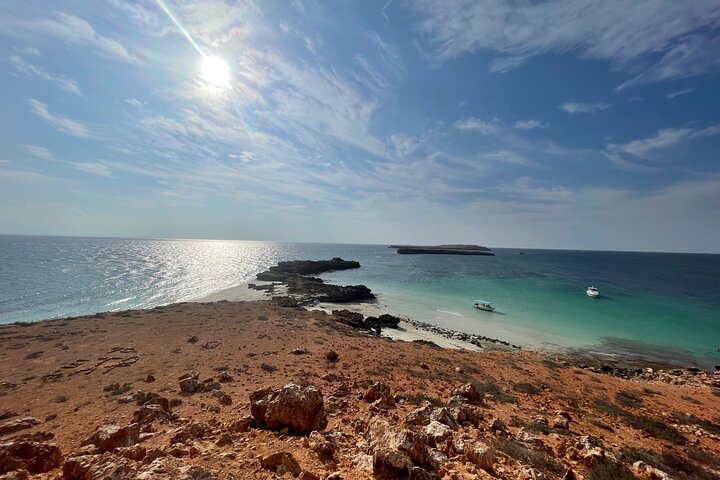 Snorkeling at Dimaniyat Islands and Dolphin Watching (Half-Day)
