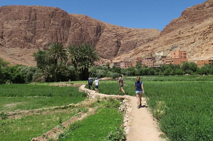 Half-Day Todra Gorges Hike