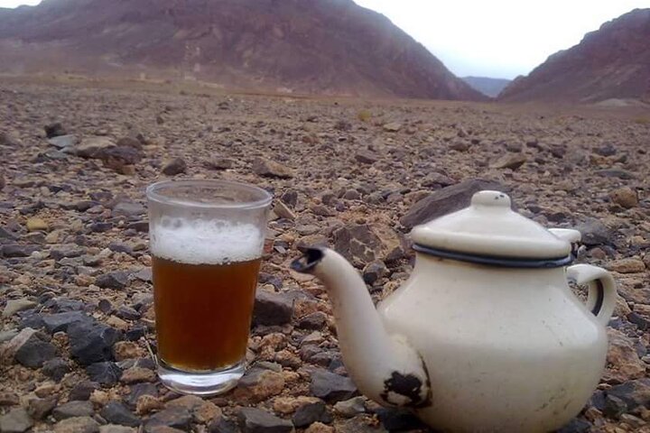 Half-Day Todra Gorges Hike