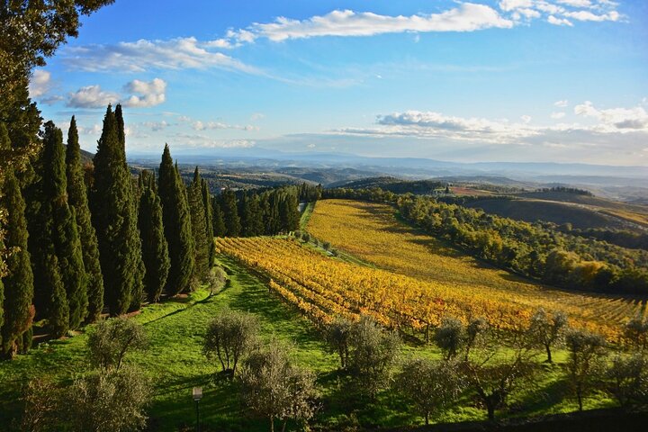 Chianti & Supertuscan Private Tour 2 Wineries with light lunch