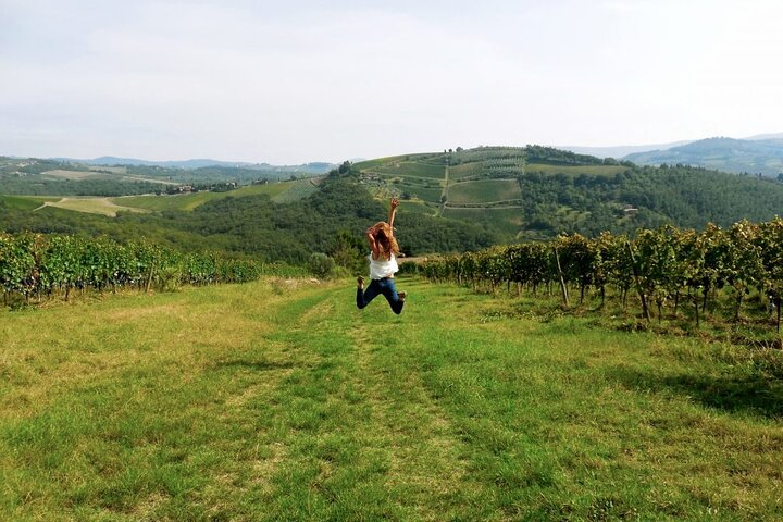 Chianti & Supertuscan Private Tour 2 Wineries with light lunch