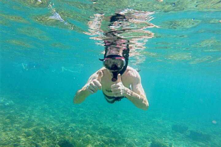 Half-Day Dolphin Watching and Snorkeling in Samara