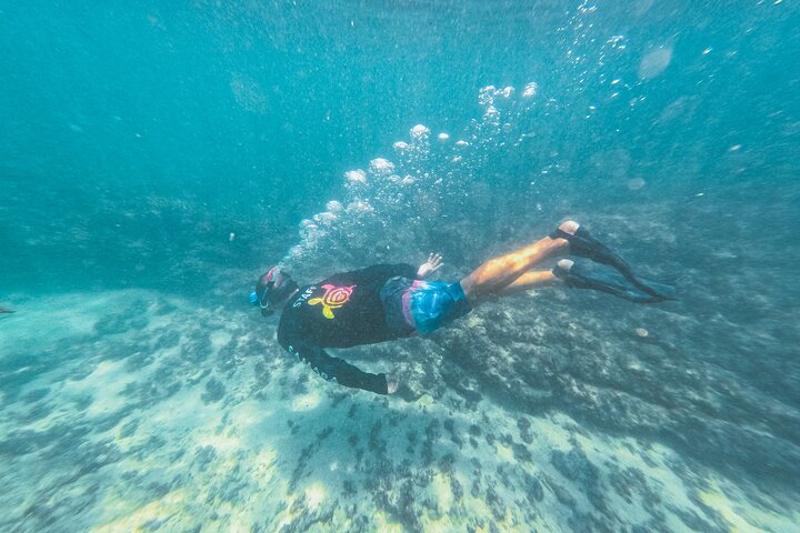 Half-Day Dolphin Watching and Snorkeling in Samara