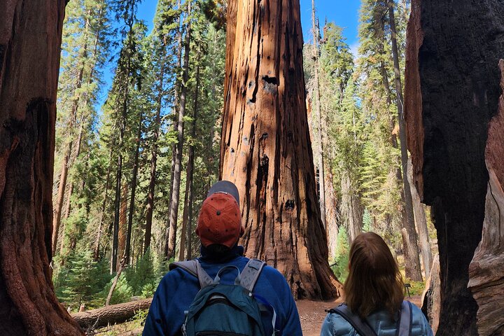 Private Guided Hiking Tour - Sequoia National Park