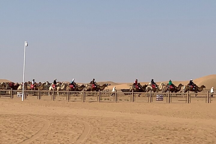 Private Day Tour to Shapotou Desert from Yinchuan