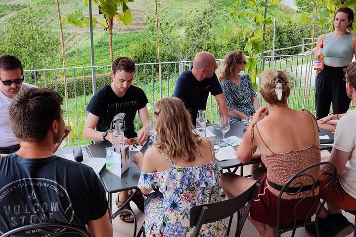 Private wine tour on the magical hills of Lucca with sommelier