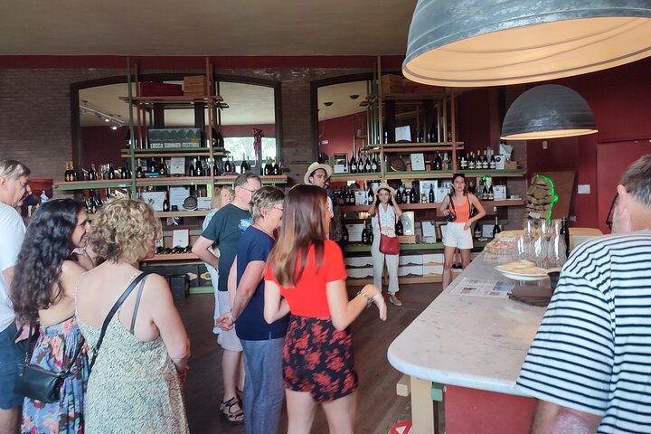 Private wine tour on the magical hills of Lucca with sommelier