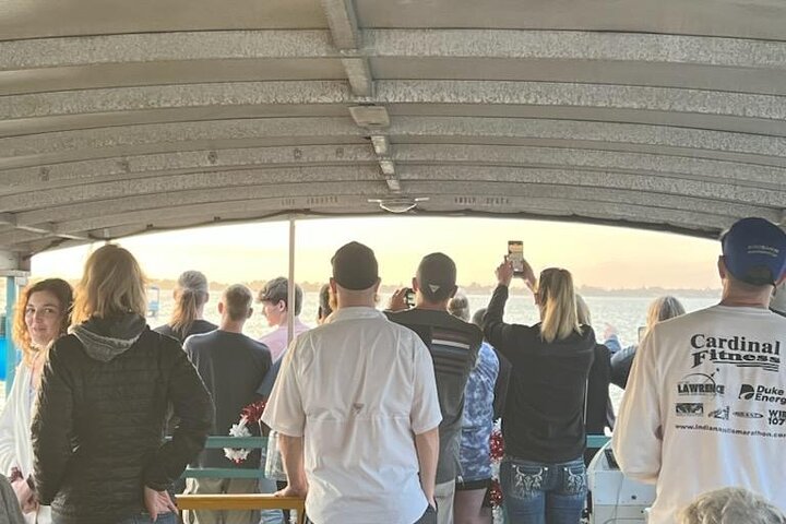 Cocoa Beach Dolphin and Wildlife Tour