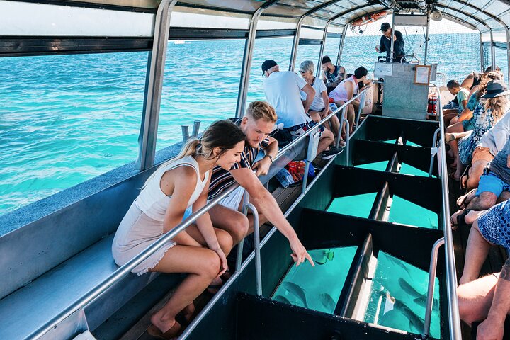 Snorkelling or Glass Bottom Boat at Green Island from Cairns
