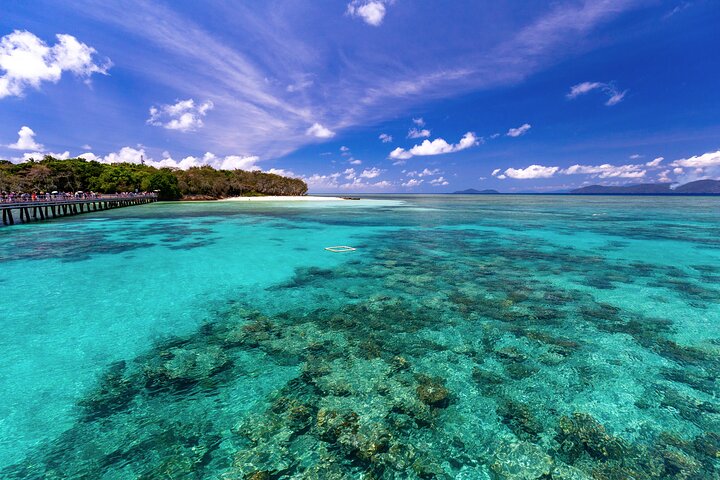 Snorkelling or Glass Bottom Boat at Green Island from Cairns