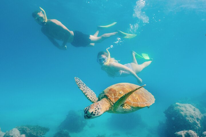 Snorkelling or Glass Bottom Boat at Green Island from Cairns