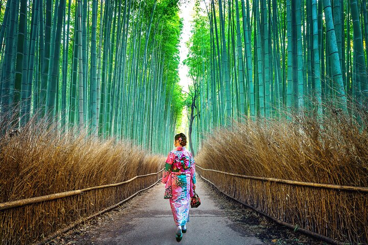 Arashiyama & Nara Highlights: One-Day Private Tour Adventure
