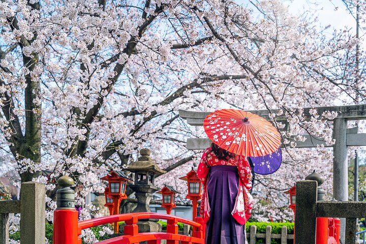 Kyoto Full Day (8 hours) Ultimate Sightseeing Private Tour