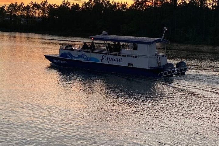 Dolphin and Nature Sunset Cruise from Orange Beach