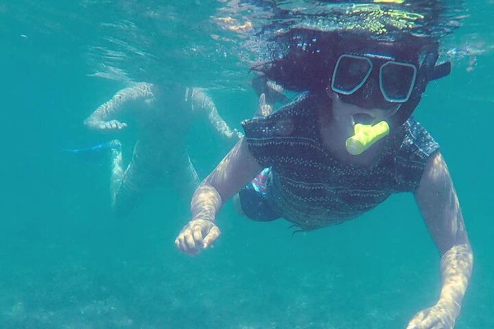 Half-Day Dolphin Watching and Snorkeling in Samara
