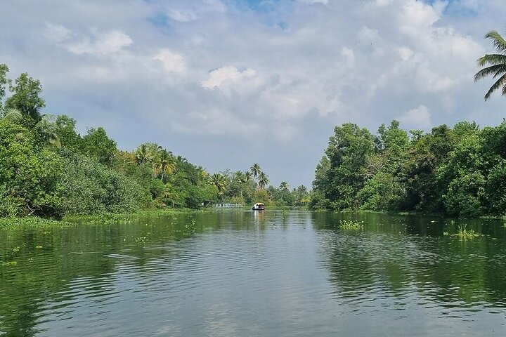 Cochin: Backwater Village Eco Boat Cruise with Lunch