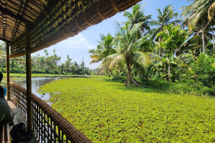 Cochin: Backwater Village Eco Boat Cruise with Lunch
