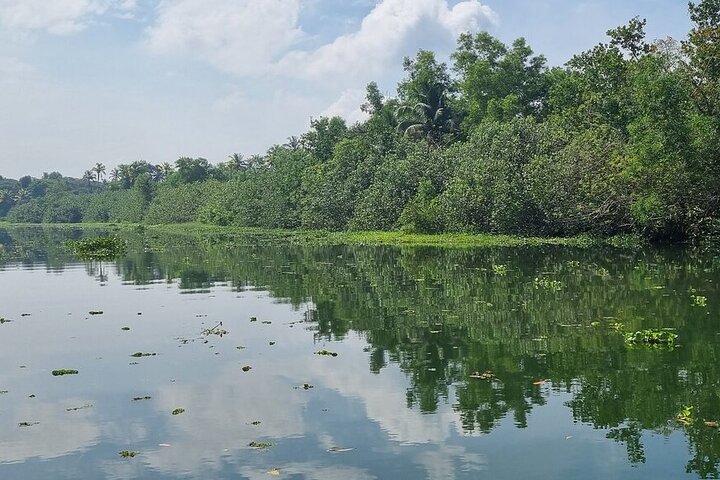 Cochin: Backwater Village Eco Boat Cruise with Lunch