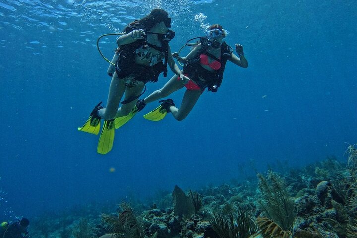 Private Diving Experience for Beginners in San Andres Islands