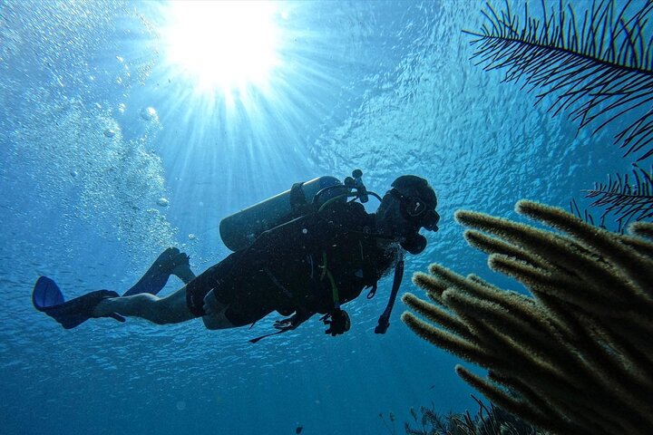 Private Diving Experience for Beginners in San Andres Islands